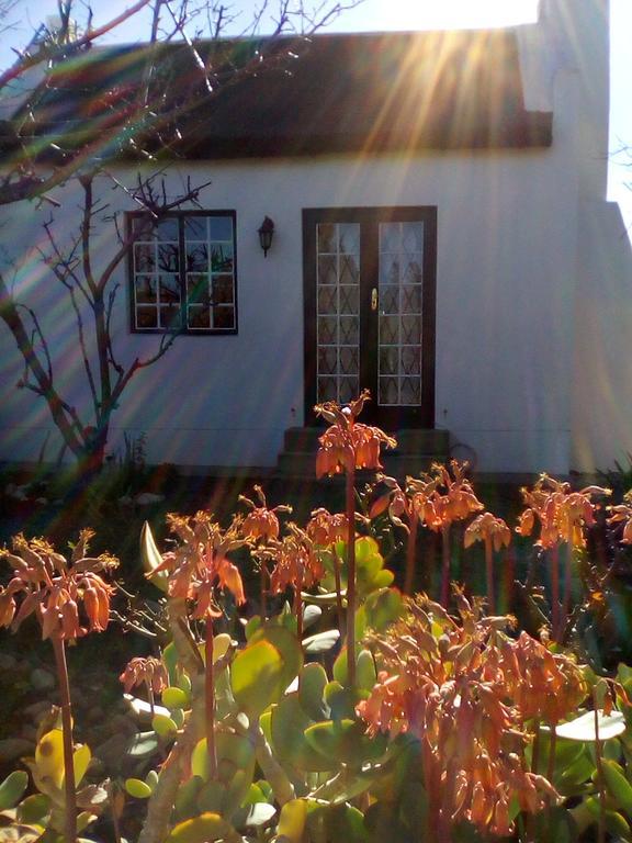 Orchard Cottage McGregor Ngoại thất bức ảnh